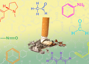 NicoZero blocs de la sensibilité des récepteurs à la nicotine