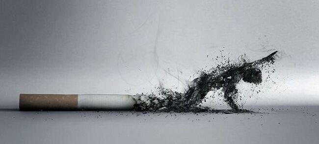 Le comportement tabagique et ses effets sur la santé